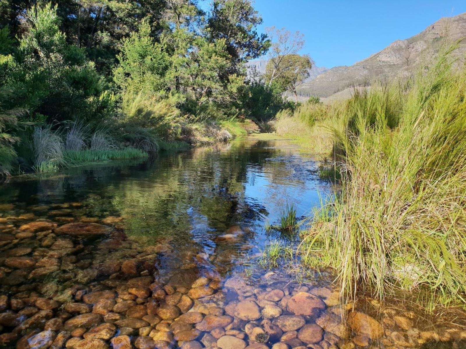 Villa La Ferme Guest Farm - Hot Tubs Franschhoek Exterior foto